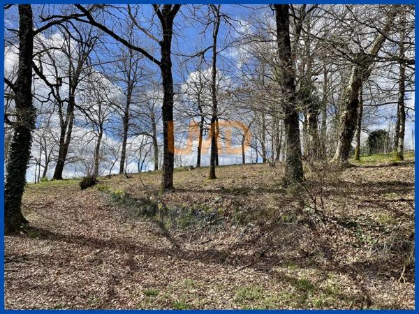 Belle maison sur sous-sol complet sur un grand terrain.