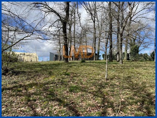 Belle maison sur sous-sol complet sur un grand terrain.