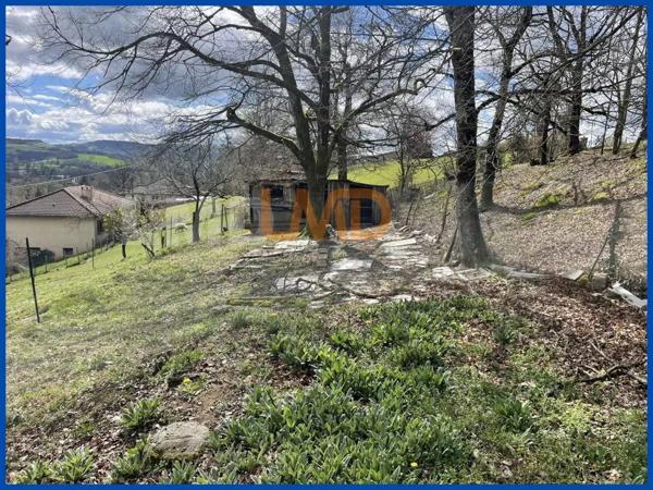 Belle maison sur sous-sol complet sur un grand terrain.