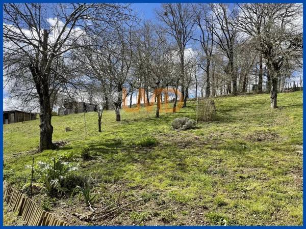 Belle maison sur sous-sol complet sur un grand terrain.