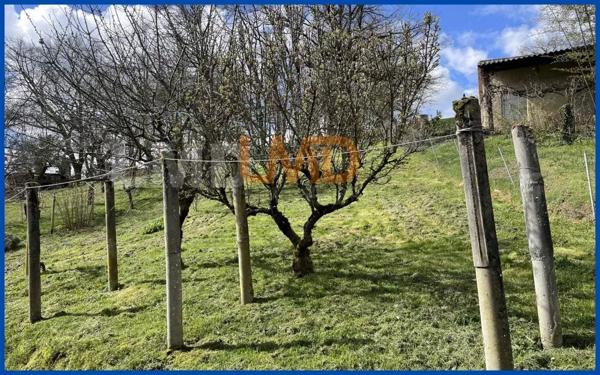 Belle maison sur sous-sol complet sur un grand terrain.