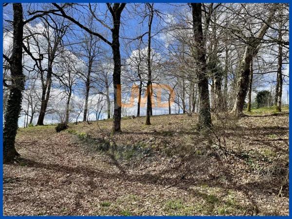 Belle maison sur sous-sol complet sur un grand terrain.