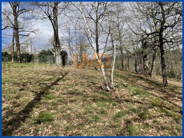 Belle maison sur sous-sol complet sur un grand terrain.