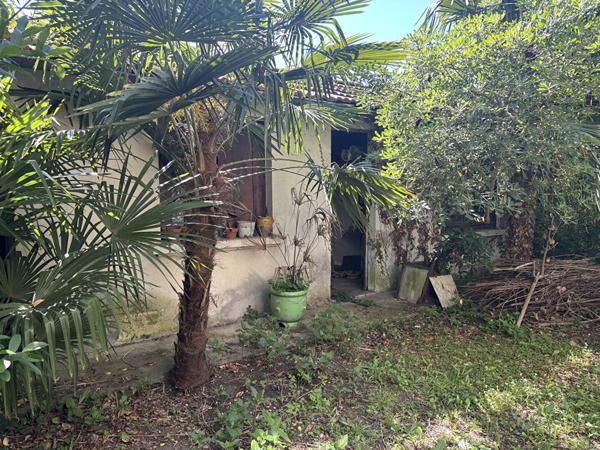 CÔTE PAVÉE   GRANDE MAISON TYPE 6/7 AVEC GARAGE , DEPENDANCES ET JARDIN ARBORE