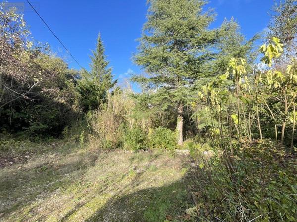 Maison à vendre à Bédarieux dans l'Hérault (34600), ref : 34074-219