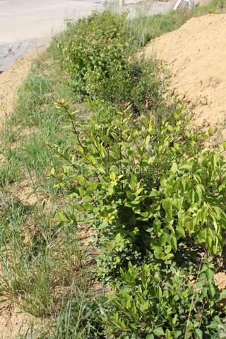 Lotissement de 488 m²