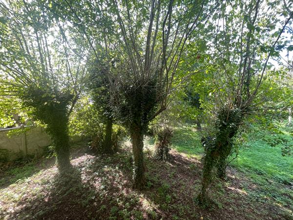 Maison à vendre à Mérignac Arlac, garage, terrain 2078m² divisible