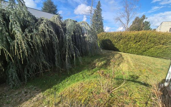 Maison à vendre    5 pièces • 131 m2 Olivet