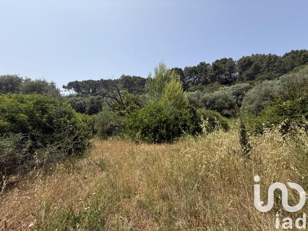 Terrain à vendre 1 100 m² Le Cannet-des-Maures