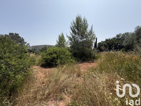 Terrain à vendre 1 100 m² Le Cannet-des-Maures