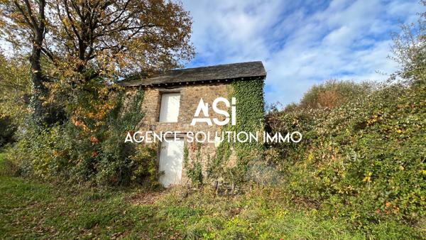 Maison en pierre de type longère en campagne à Courcité 206 m2 - 10 pièces 7 ch - 8500 m2 de terrain