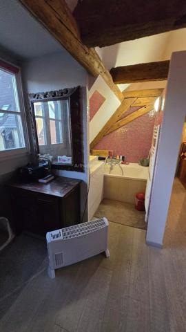 Vente Maison 11 pièces 243 m2 à Colmar