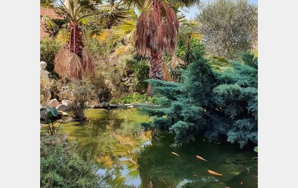 Vente Maison Villa d'exception Le grau-d'agde   