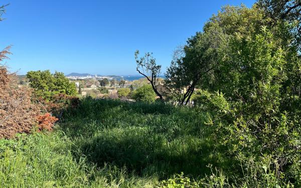 Terrain à vendre    Ollioules