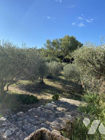 Villa avec piscine et garage