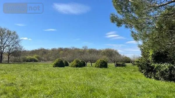 Achat - Maison Luynes 37230 7 pièces 192 m 2 48000 m 2