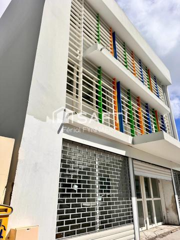 Investissement Immeuble 300m2 avec Ascenseur et Parking