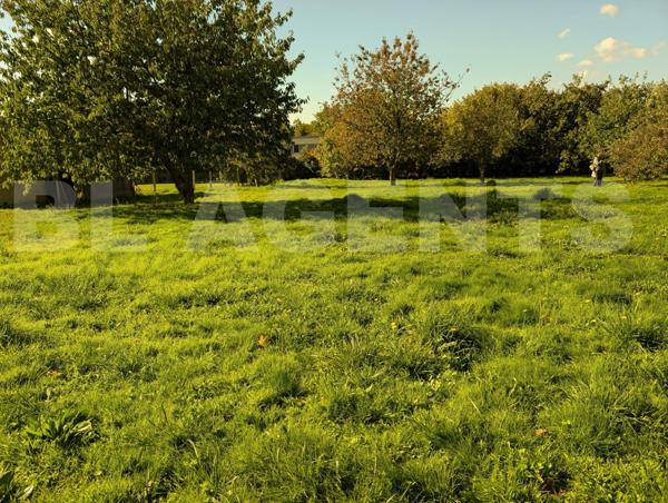 TRANGÉ - TERRAIN A BATIR - 877 m²