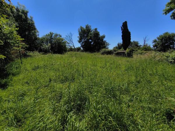 Maison champêtre à restaurer à Lezay