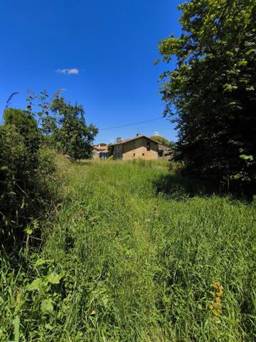 Maison champêtre à restaurer à Lezay