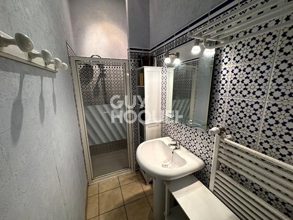 VENTE d'une maison 7 pièces (220 m²) + une maison 4 pièces (70m²) au BREUIL