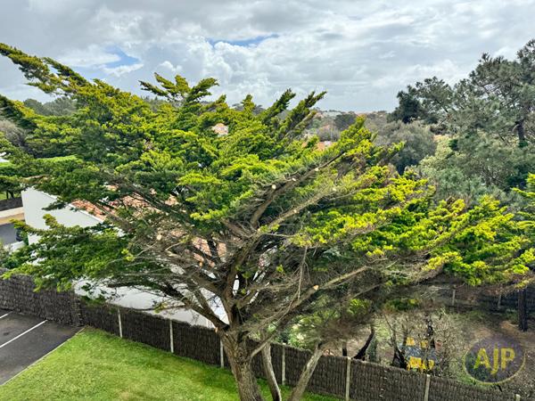 Vente appartement Les Sables D Olonne : 191 415 € - AJP Immobilier Les Sables-d'Olonne