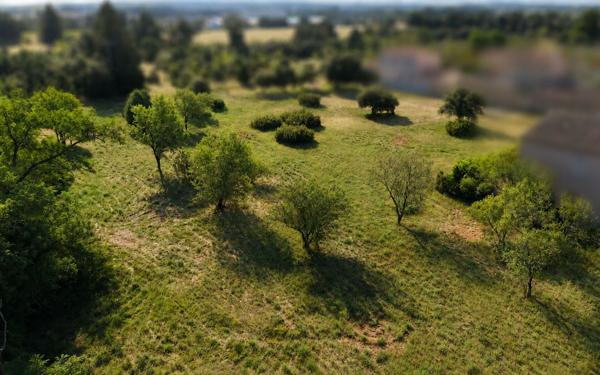 Terrain à vendre