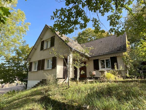 Maison à vendre à Bar sur Seine (10110), AUBE. Pavillon traditionnel de 165 m² sur sous-sol tot...