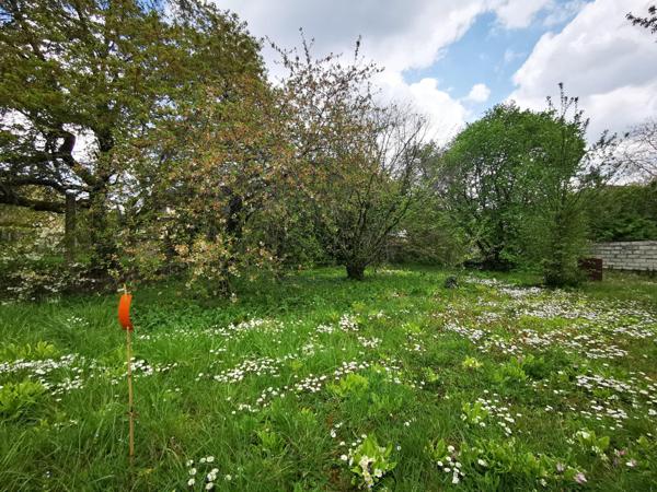 Beau terrain à bâtir.PRIX TRES RAISONNABLE!