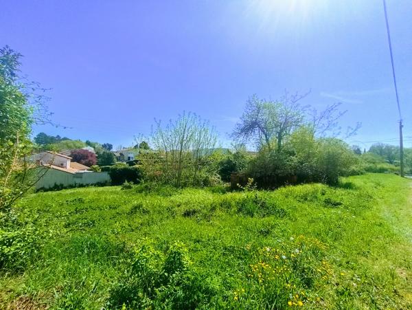 Terrain - 2250 m² Exclusivité efficity