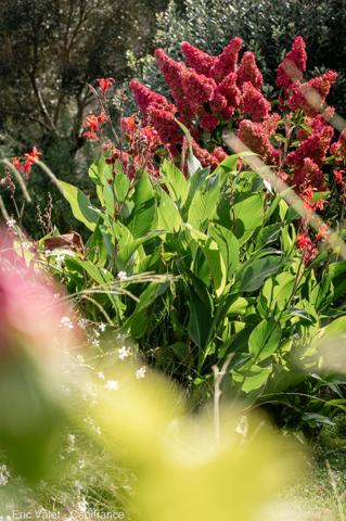 BISCAROSSE - SUPERBE, LUMINEUSE ET VASTE VILLA - 200 M2 ENVIRON - PROCHE FORET