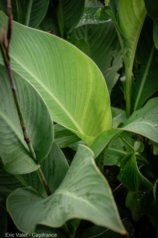 BISCAROSSE - SUPERBE, LUMINEUSE ET VASTE VILLA - 200 M2 ENVIRON - PROCHE FORET