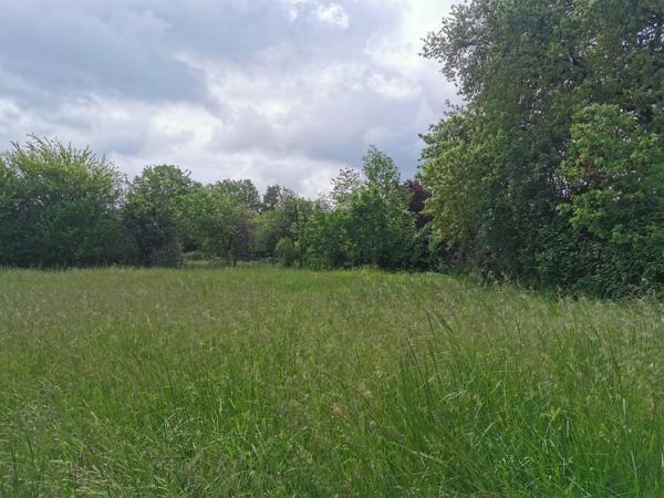 Grand terrain constructible et plat