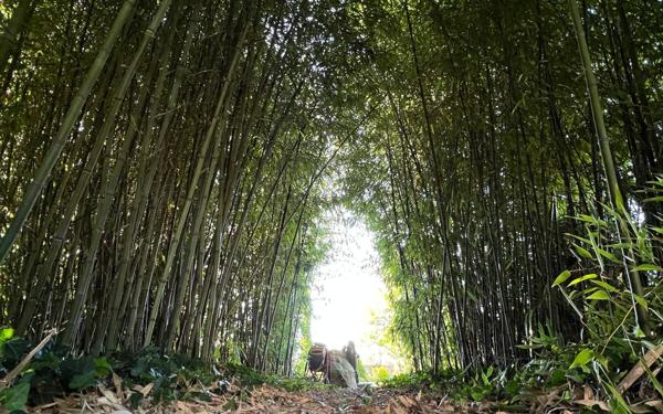 Maison à vendre    6 pièces • 295 m2 Nesles-la-Vallée