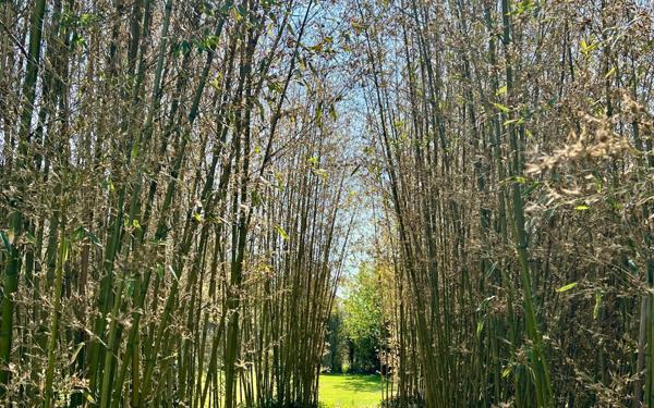 Maison à vendre    6 pièces • 295 m2 Nesles-la-Vallée