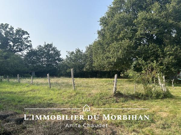 Surzur (56450) MAISON A RENOVER AVEC DEPENDANCE