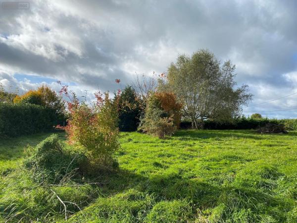 Maison à vendre à Saint-Vincent-Bragny en Saône-et-Loire (71430), ref : M-E-HE