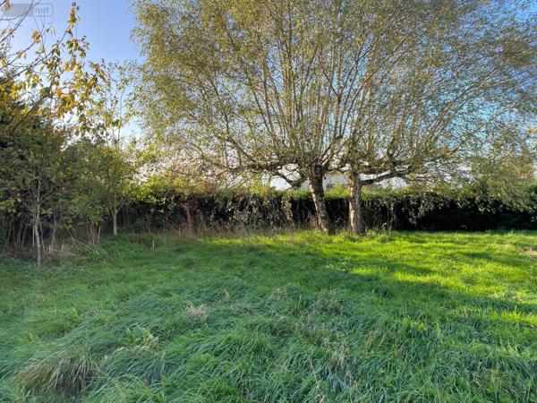 Maison à vendre à Saint-Vincent-Bragny en Saône-et-Loire (71430), ref : M-E-HE