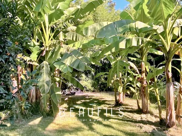 Montpellier (34000) MONTPELLIER 34000 - VILLA 240 m2 - PISCINE - TERRAIN 4 300 m2