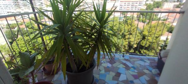 vente appartement T3 saint just - marseille 13ème