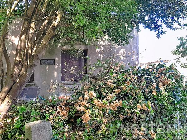 Maison à vendre à Meschers-sur-Gironde - 3 pièces, 48 m², terrain 179 m²