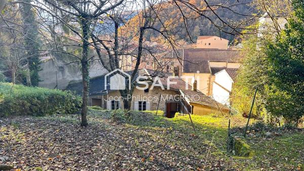 Ancienne Maison de Maitre - centre Lavelanet avec terrain