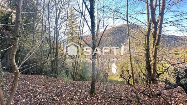 Ancienne Maison de Maitre - centre Lavelanet avec terrain