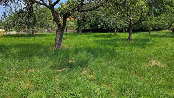 Terrain à Bâtir 924 m² à LA CHAPELLE BLANCHE (73110)