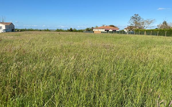 Terrain à vendre    Arvert