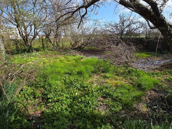 Maison à vendre à Ceaucé dans l'Orne (61330), ref : 53075DLS26003