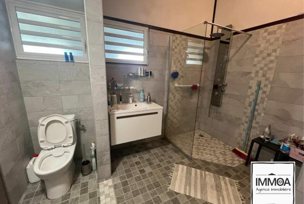 Maison à Vendre à la Plaine des Palmistes 97431