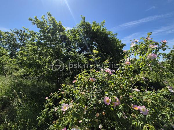 Terrain de 26 139 m²