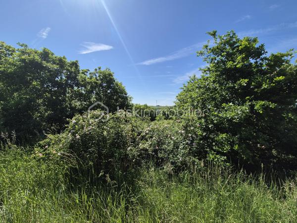 Terrain de 26 139 m²