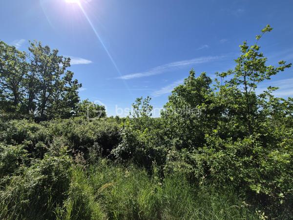 Terrain de 26 139 m²